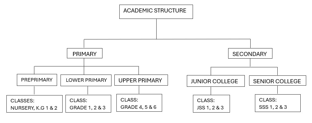 Academic structure illustration